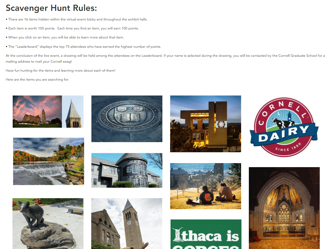 http://virtual-scavengar-hunt-cornell